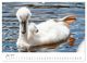 Thumbnail-11