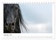 Thumbnail-14