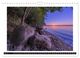 Thumbnail-12