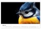 Thumbnail-9