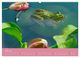 Thumbnail-11
