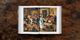 Thumbnail-14