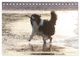 Thumbnail-10