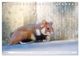 Thumbnail-10