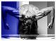Thumbnail-14