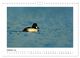 Thumbnail-12