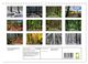 Thumbnail-14