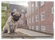 Thumbnail-11