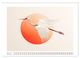 Thumbnail-8