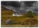 Thumbnail-14