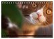 Thumbnail-9