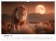 Thumbnail-13
