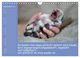 Thumbnail-14