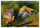 Thumbnail-11