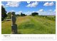 Thumbnail-13