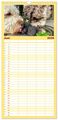 Thumbnail-11