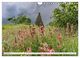Thumbnail-14