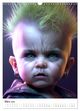 Thumbnail-8