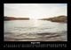 Thumbnail-12