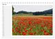 Thumbnail-12