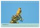 Thumbnail-13