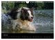 Thumbnail-12