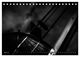 Thumbnail-9