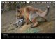Thumbnail-12
