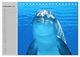 Thumbnail-14