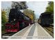 Thumbnail-10