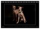 Thumbnail-11