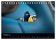 Thumbnail-12