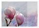 Thumbnail-10