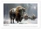 Thumbnail-8