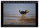 Thumbnail-10