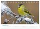 Thumbnail-14