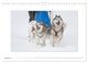 Thumbnail-13