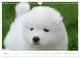 Thumbnail-12
