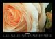 Thumbnail-11
