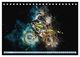 Thumbnail-12