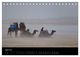 Thumbnail-9