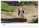 Thumbnail-11