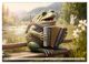 Thumbnail-9
