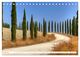 Thumbnail-8