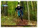 Thumbnail-12