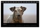Thumbnail-12