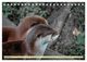 Thumbnail-14