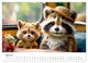 Thumbnail-9
