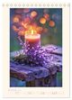 Thumbnail-14