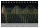 Thumbnail-9